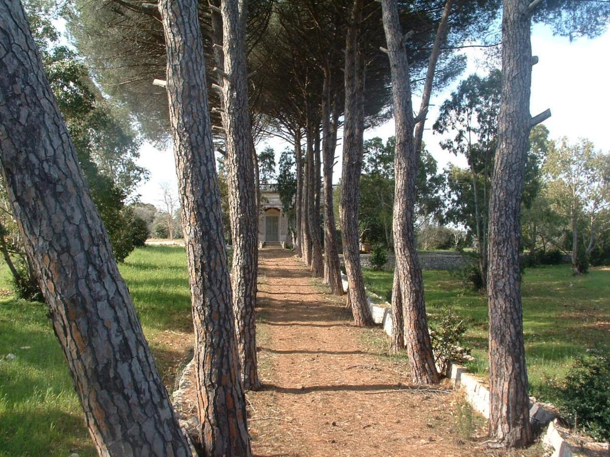 Masseria Pugliese Deluxe 奥斯图尼 外观 照片