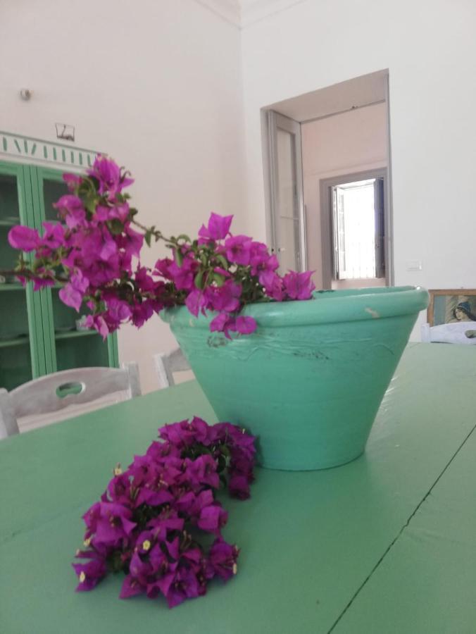 Masseria Pugliese Deluxe 奥斯图尼 外观 照片
